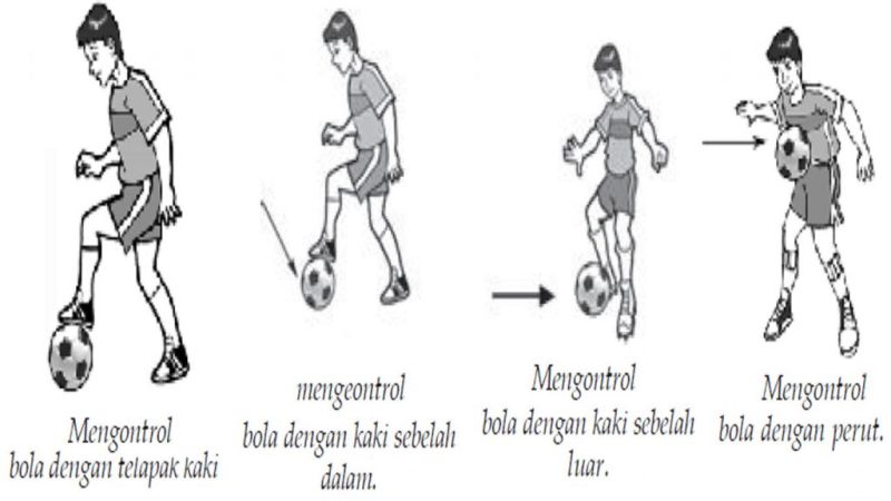 Teknik Dasar dalam Permainan Sepak Bola yang Harus Anda Kuasai